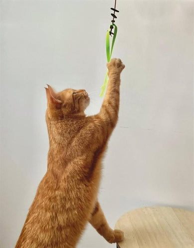 Martin Cat Toy Jason Recycled Assorted - Image 3
