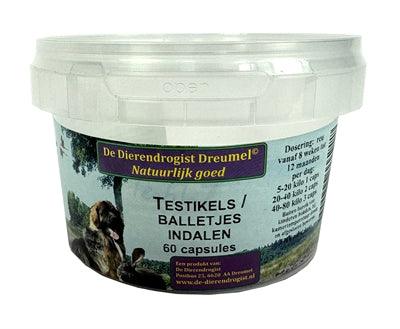 Animal Pharmacy Testicle Descent Capsules