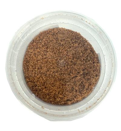 Pet Supplies Krill - Image 2