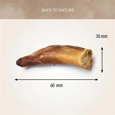 Antos Bull's Tendon Points - Image 3