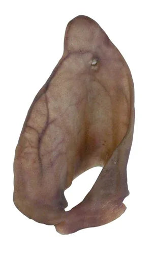 Petsnack Pig Ears - Image 3