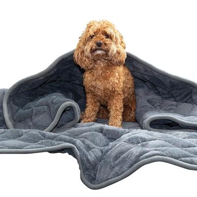 Kong Calming Weighted Blanket - Image 2