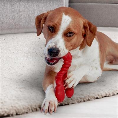 Nylabone Extreme Chew Lobster with flavor - Chew toy for strong chewers - Image 3