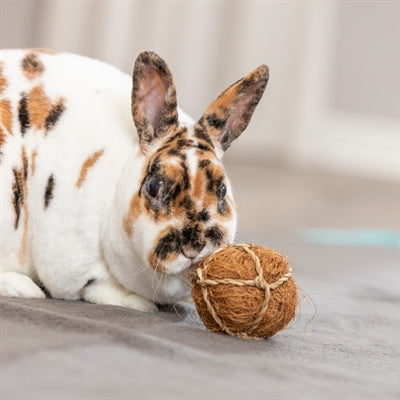 Trixie Coconut Ball - Image 3