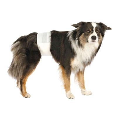 Trixie Dog Diapers Male - Image 2