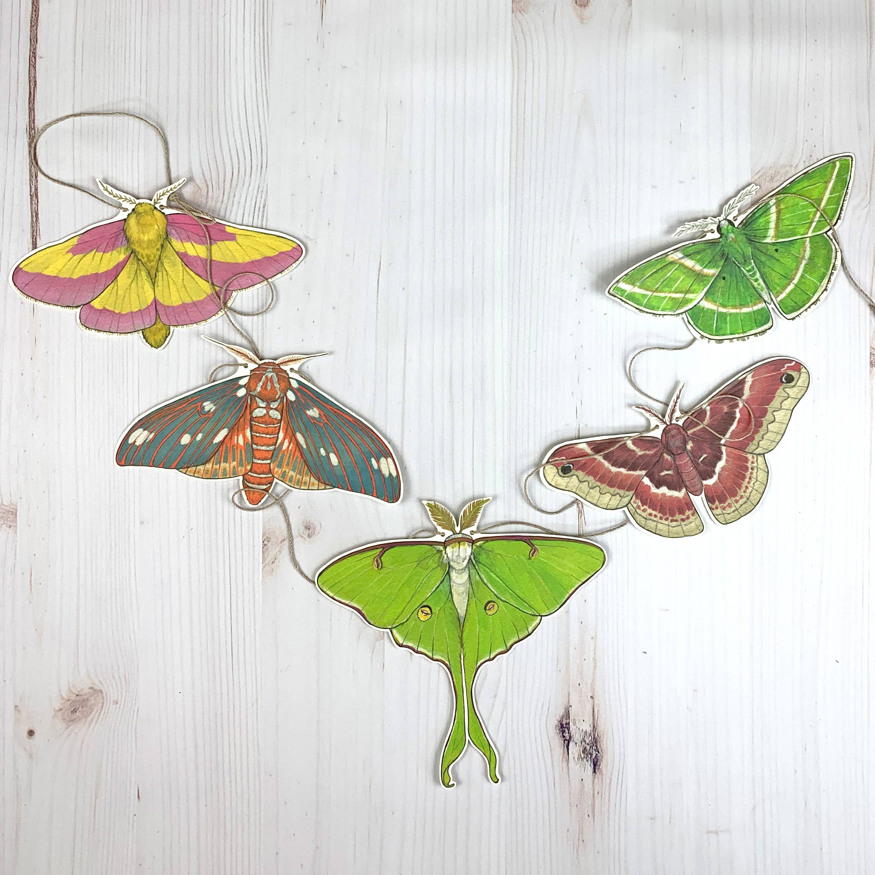 Colorful Moth Illustrated Garland - Image 2