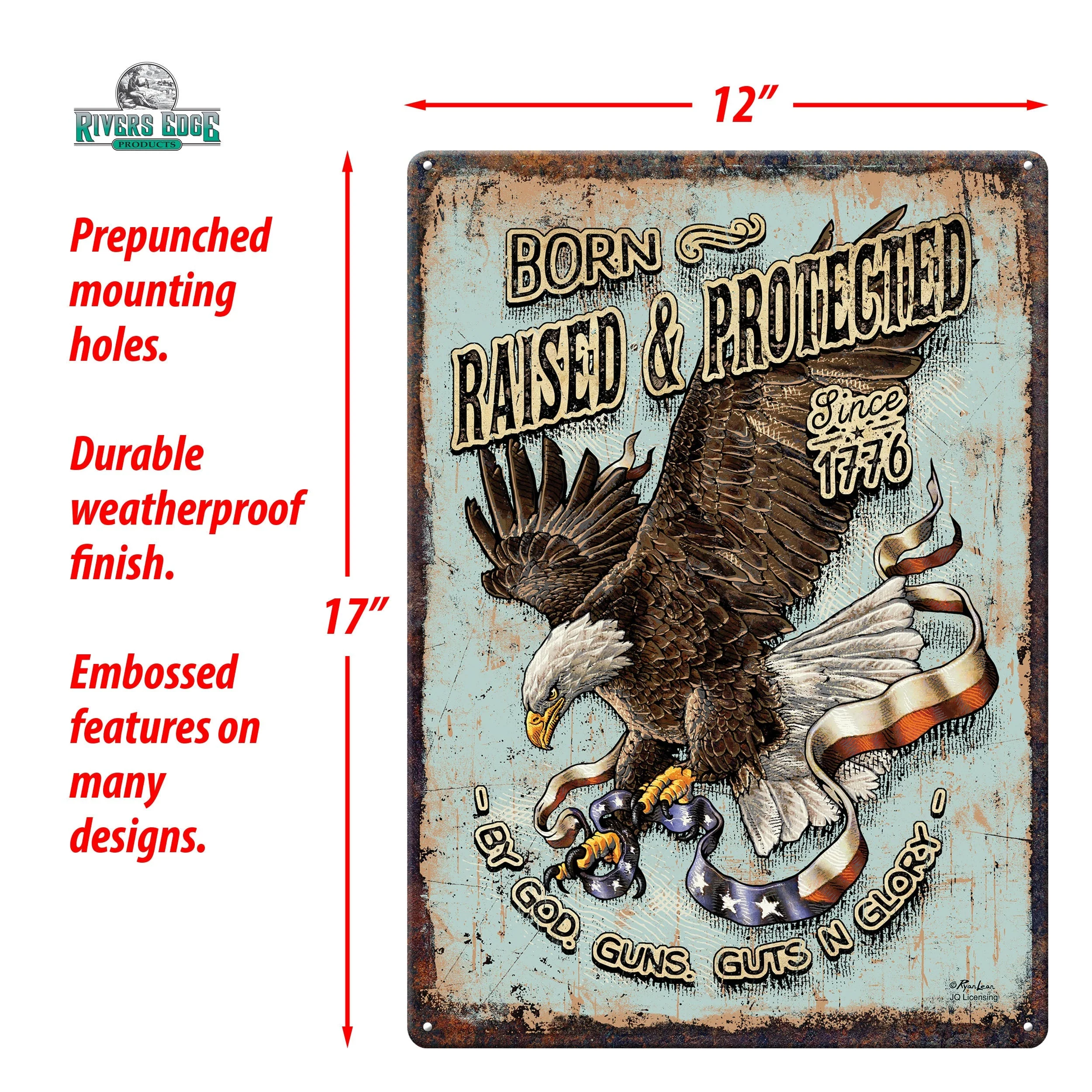 Tin Sign 12in x 17in-Born Raised and Protect - Image 3