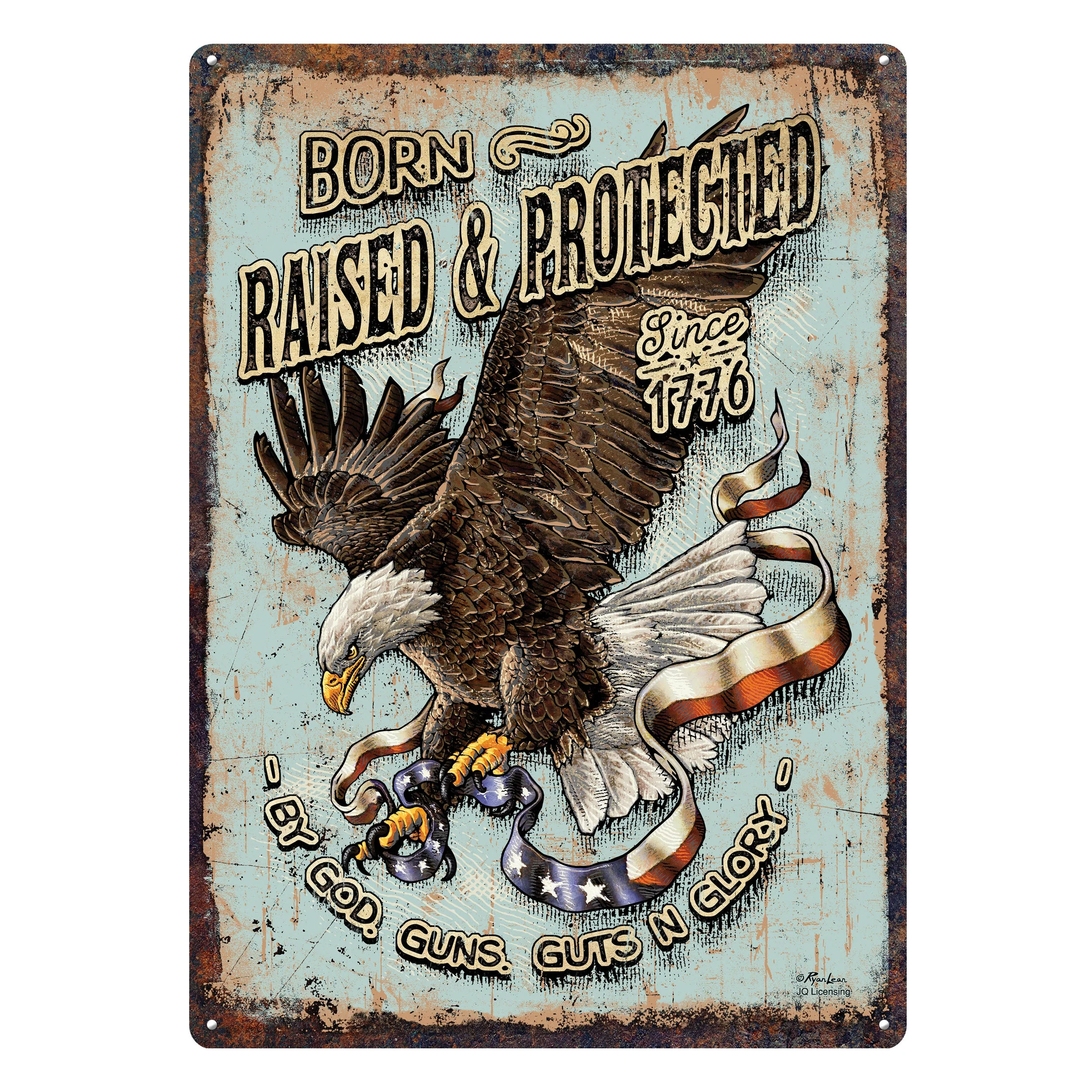 Tin Sign 12in x 17in-Born Raised and Protect