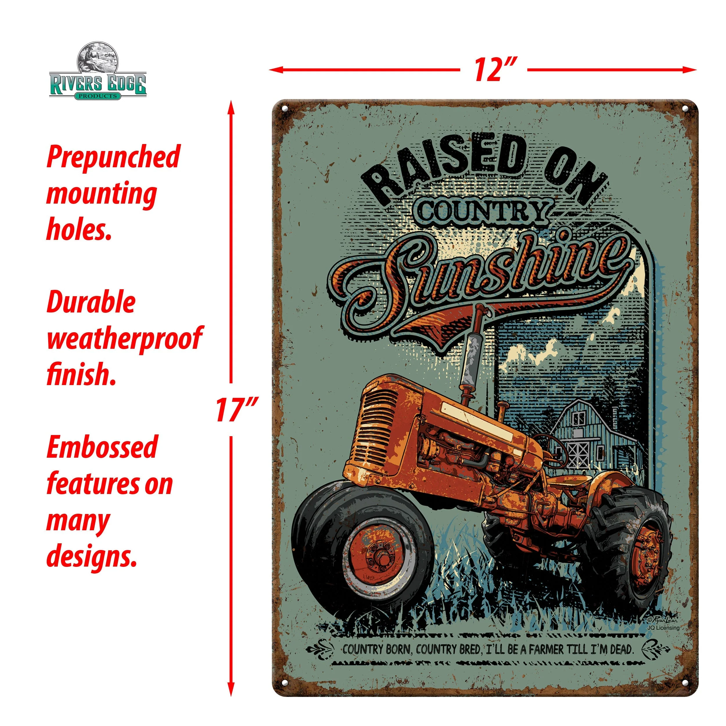 Tin Sign 12in x 17in-Raised on Sunshine - Image 2