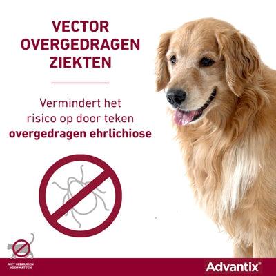 Bayer Advantix Spot-On >40 kg – Fast protection against fleas, ticks & biting insects (4 pipettes) - Image 3