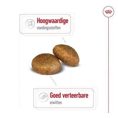 Royal Canin Maxi Adult - For large dogs from 26 to 44 kg - various bag sizes - Image 2