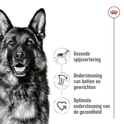 Royal Canin Maxi Adult - For large dogs from 26 to 44 kg - various bag sizes - Image 3
