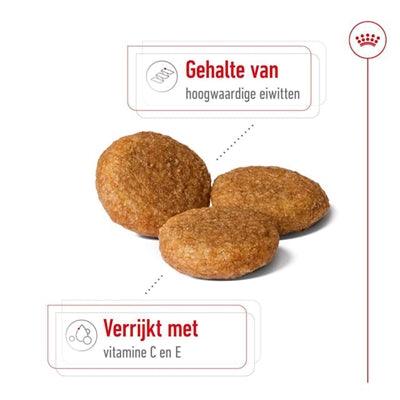 Royal Canin Medium Adult - For medium-sized dogs 12 months+ - 4 kg or 15 kg bag - Image 2