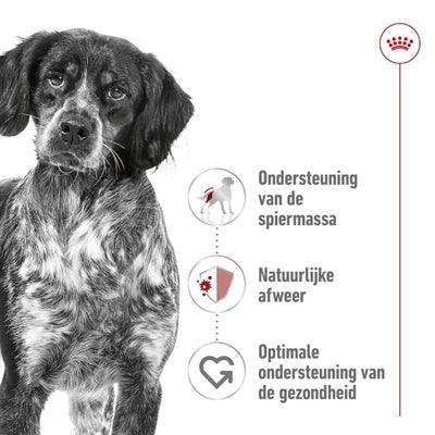Royal Canin Medium Adult - For medium-sized dogs 12 months+ - 4 kg or 15 kg bag - Image 3