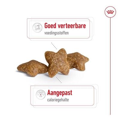 Royal Canin Mini Adult - For small dogs from 10 months - various bag sizes - Image 2