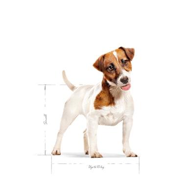 Royal Canin Mini Adult - For small dogs from 10 months - various bag sizes - Image 3