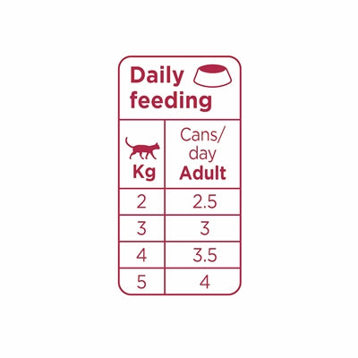 Prins Chunky Paté Chicken & Turkey – Grain-free Natural Cat Food with Chicken and Turkey (24x70g) - Image 3