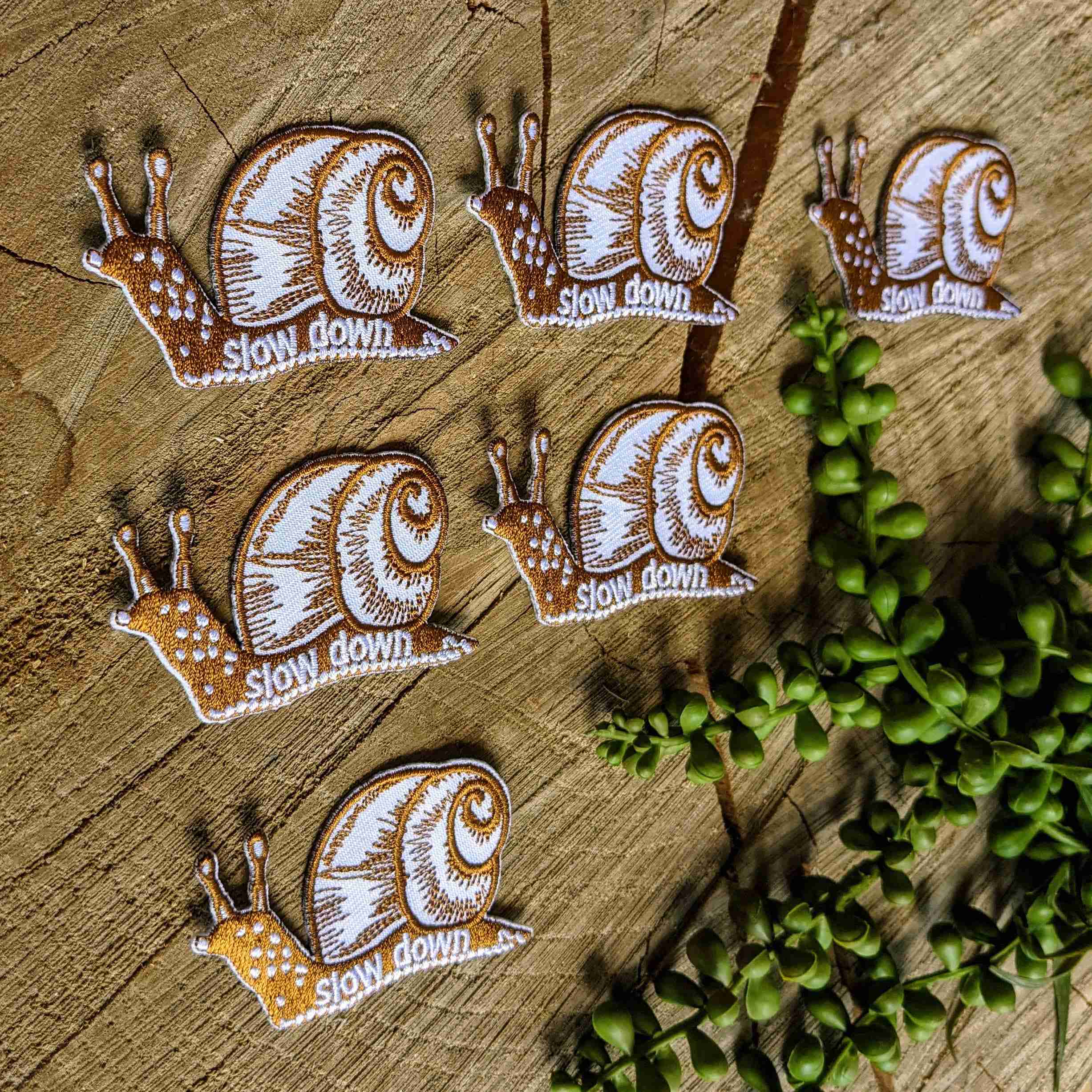 Patch | slow down snail - Image 2