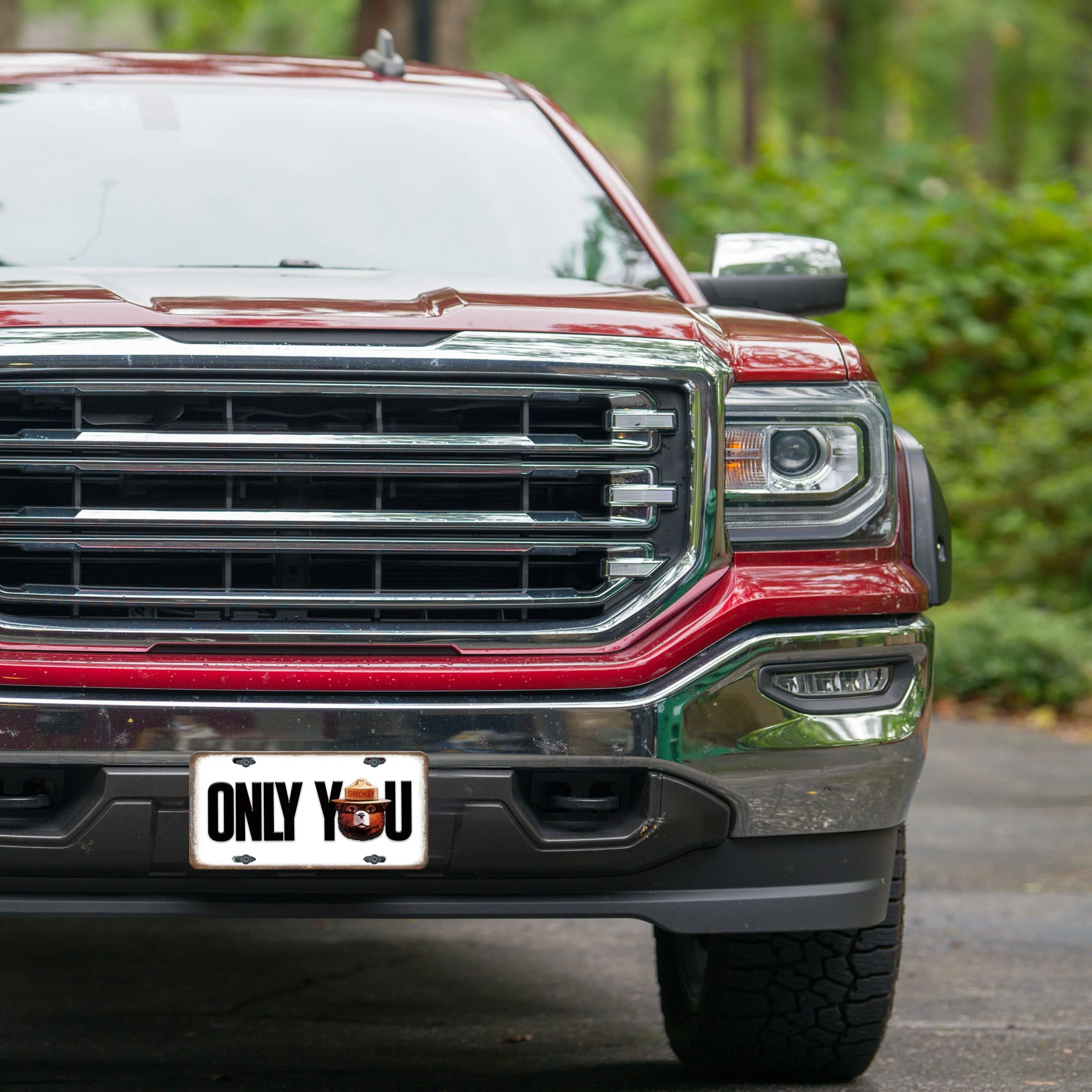Vanity License Plate 12in x 6in-Only You - Image 3
