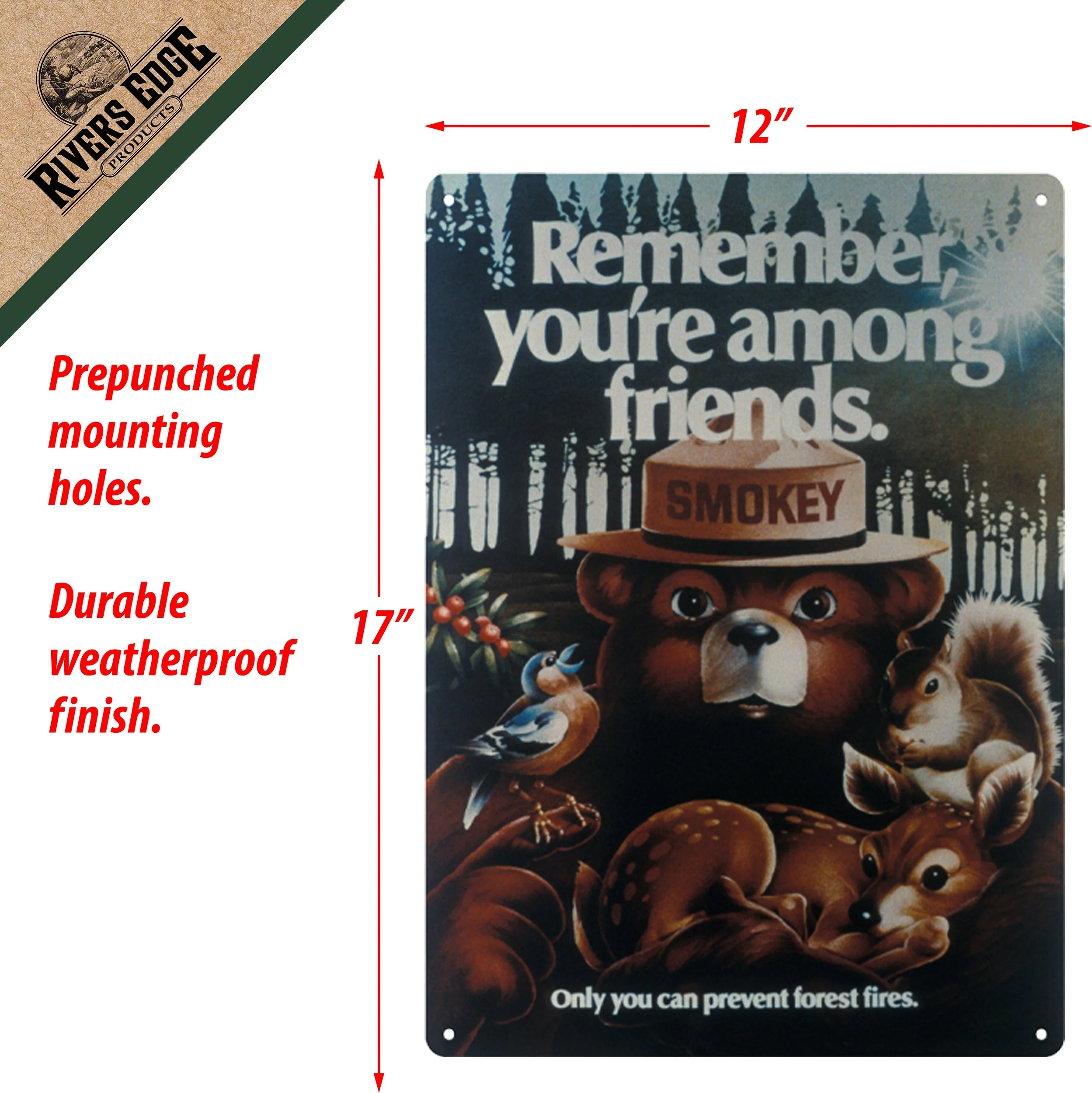 Tin Sign 12in x 17in-Remember Youre Among Friends - Image 2