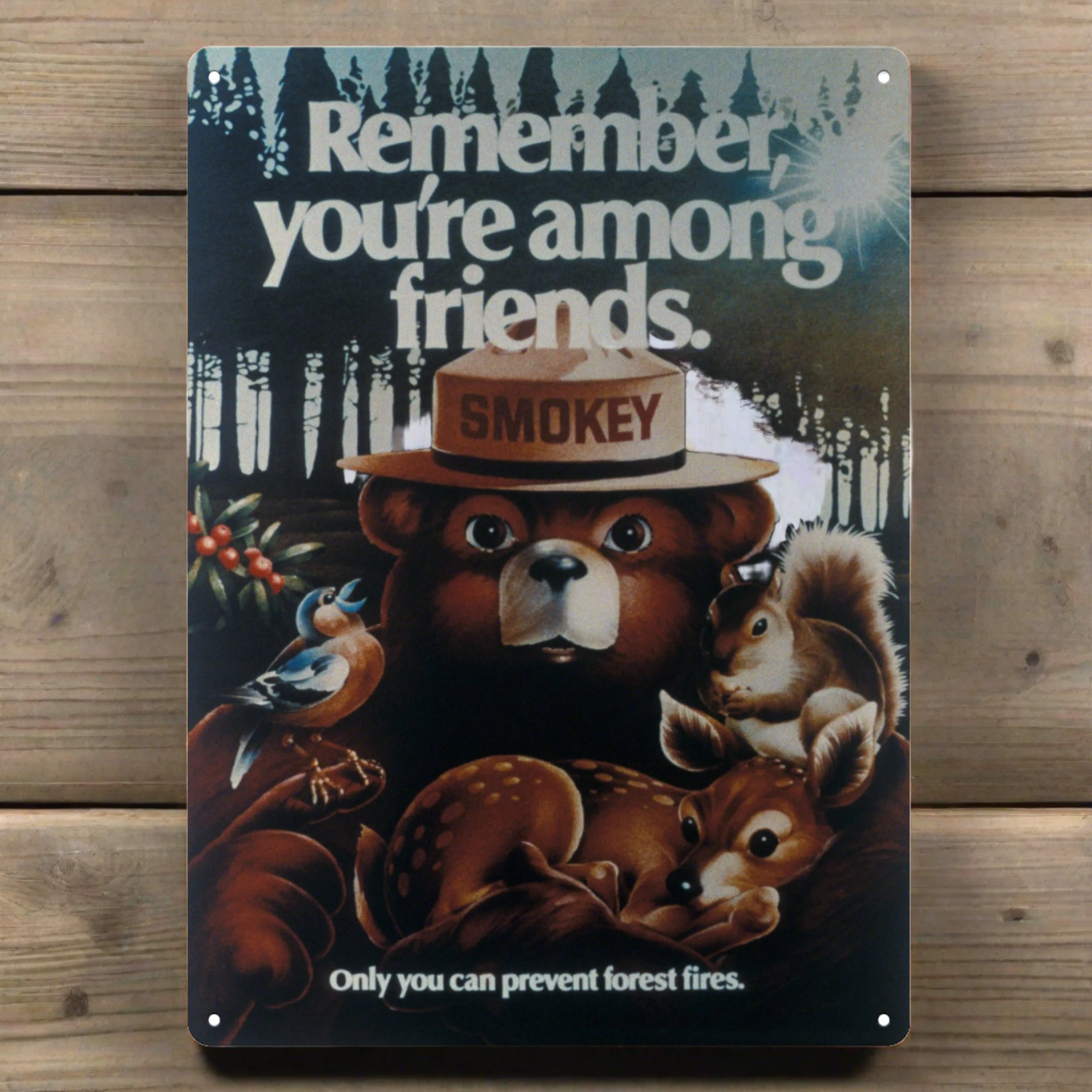 Tin Sign 12in x 17in-Remember Youre Among Friends