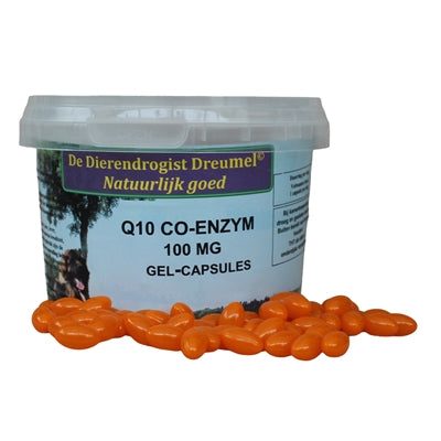 Dierendrogist Q10 Capsules - Image 1