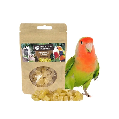 Back Zoo Nature Ananas Cubes - Image 3