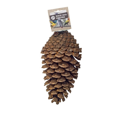 Back Zoo Nature Foraging Pine Cone - Image 3