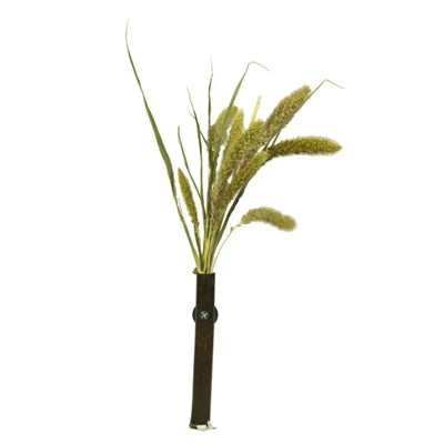 Back Zoo Nature Millet Setaria - Image 3