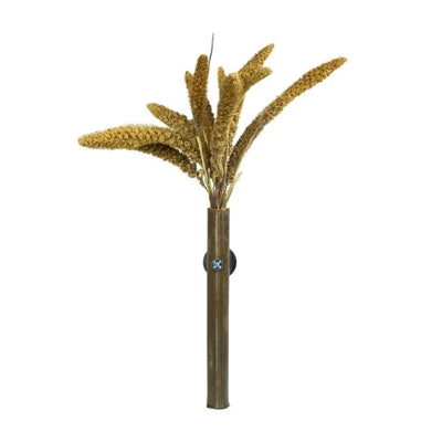 Back Zoo Nature Millet Setaria Italica - Image 3