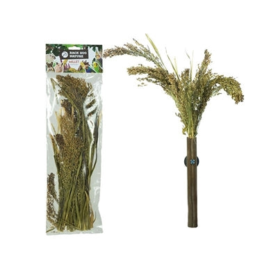Back Zoo Nature Millet Panicum - Image 2