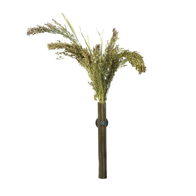 Back Zoo Nature Millet Panicum - Image 3