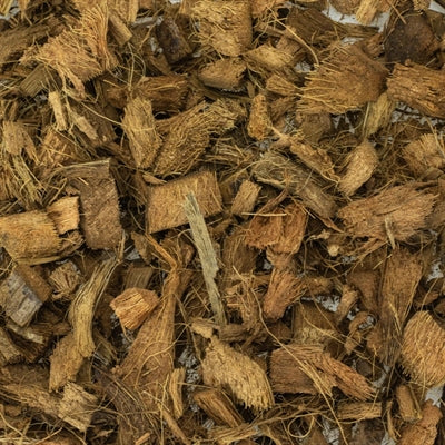 Back Zoo Nature Discovery Bedding - Image 3
