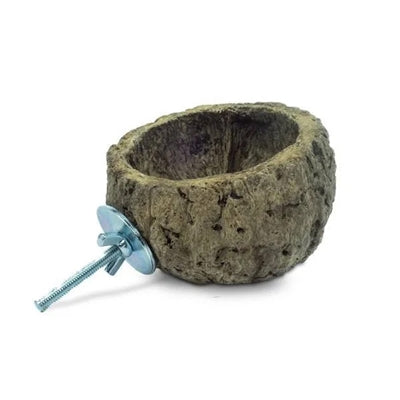 Back Zoo Nature Discovery Bowl - Image 1
