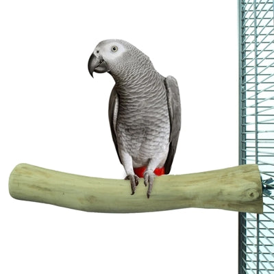 Back Zoo Nature Java Perch - Image 3