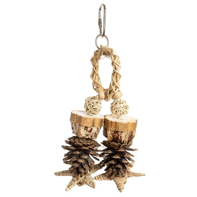 Back Zoo Nature Forest Ring - Image 1