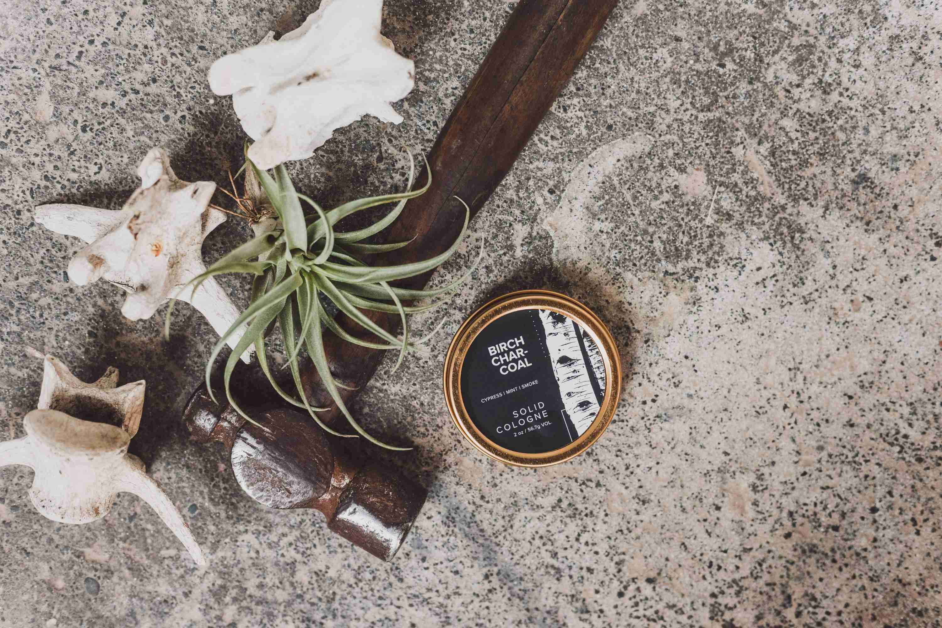 Birch Charcoal Solid Cologne - Image 2