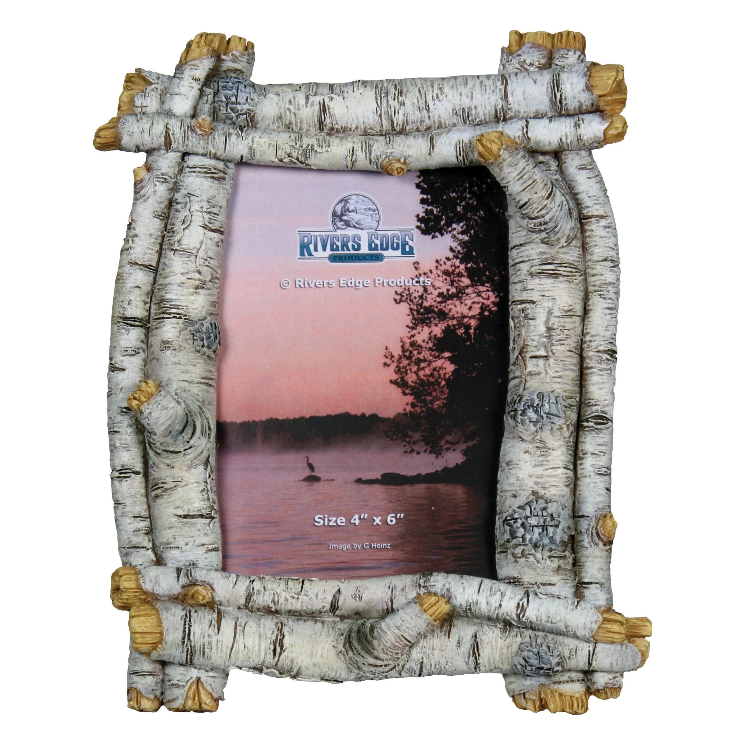 Picture Frame 4in x 6in-Birchwood Tree