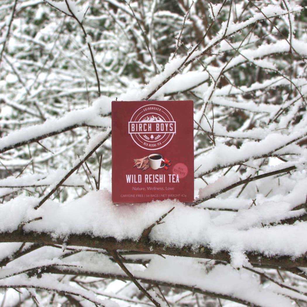 Wild Reishi Tea - Image 2