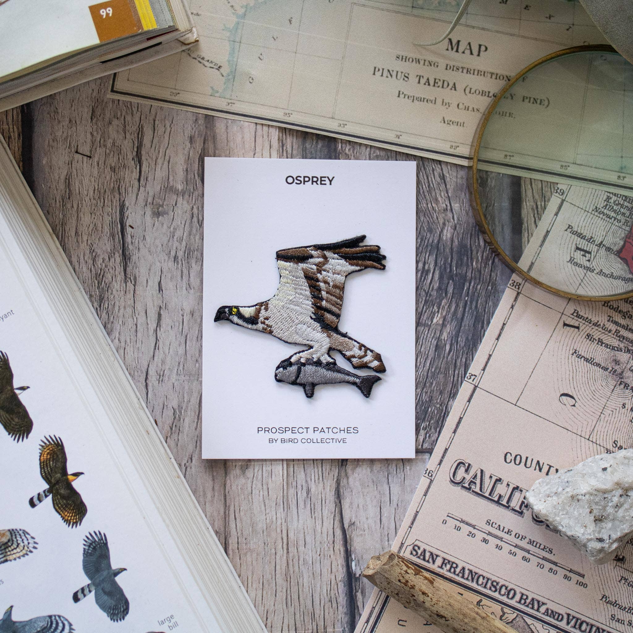 Osprey Patch - Image 3