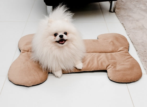 MIMIKO Pets Mata Velvet Form Kość - Image 2