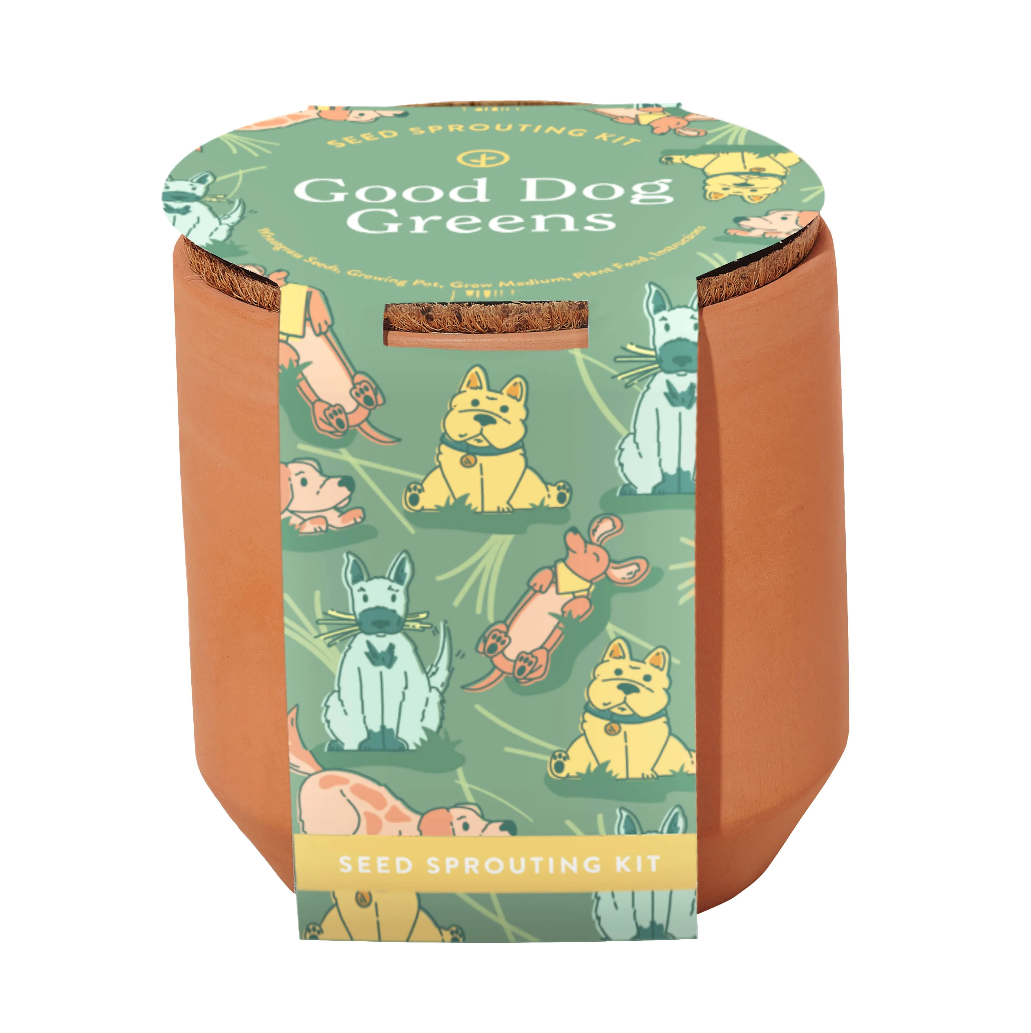 Tiny Terracotta Pet Grow Kits - Image 3
