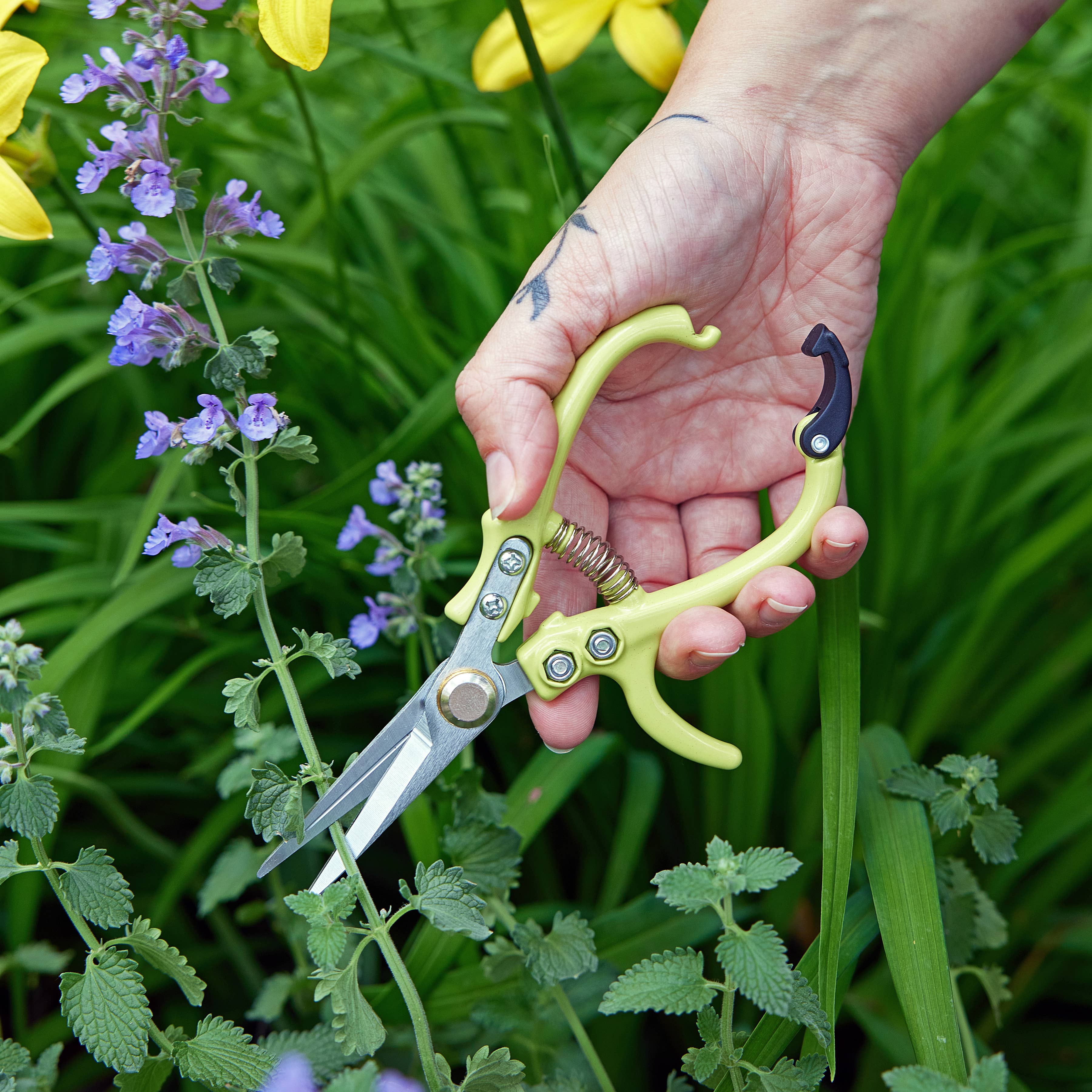 Garden Shears - Image 1
