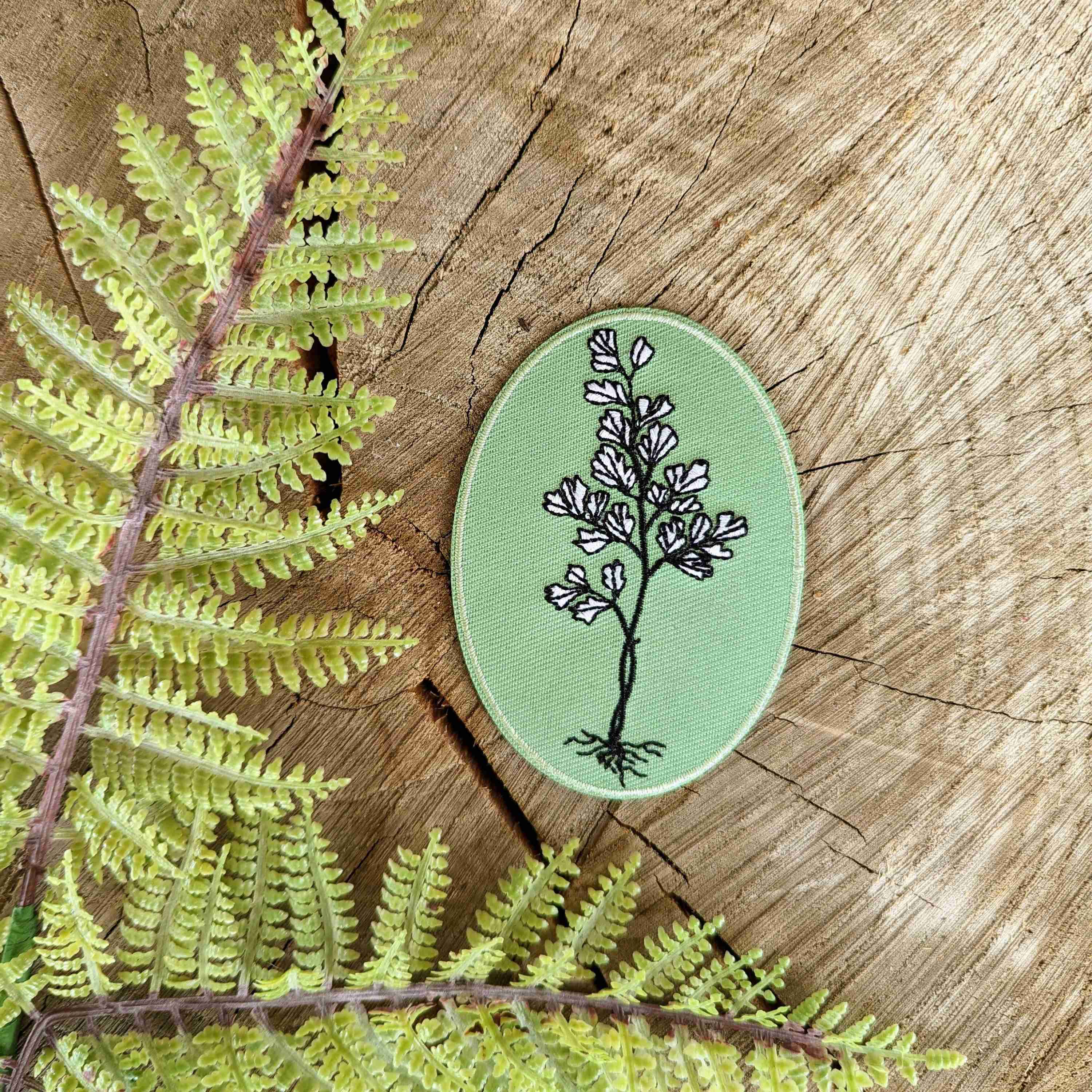 Patch | maidenhair fern - Image 1
