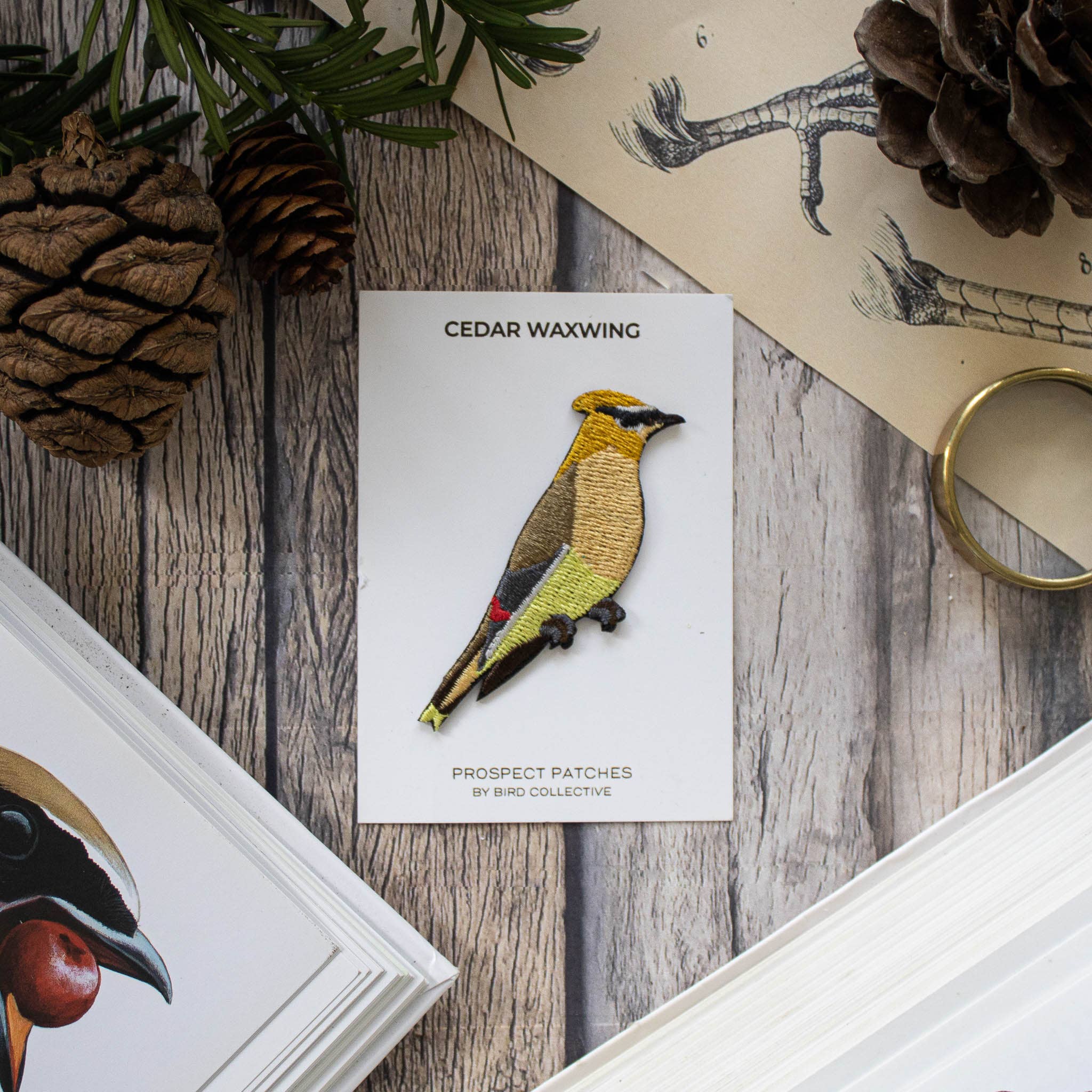 Cedar Waxwing Patch - Image 2