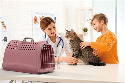 Imac Linus Travel Carrier, Pink - Image 2