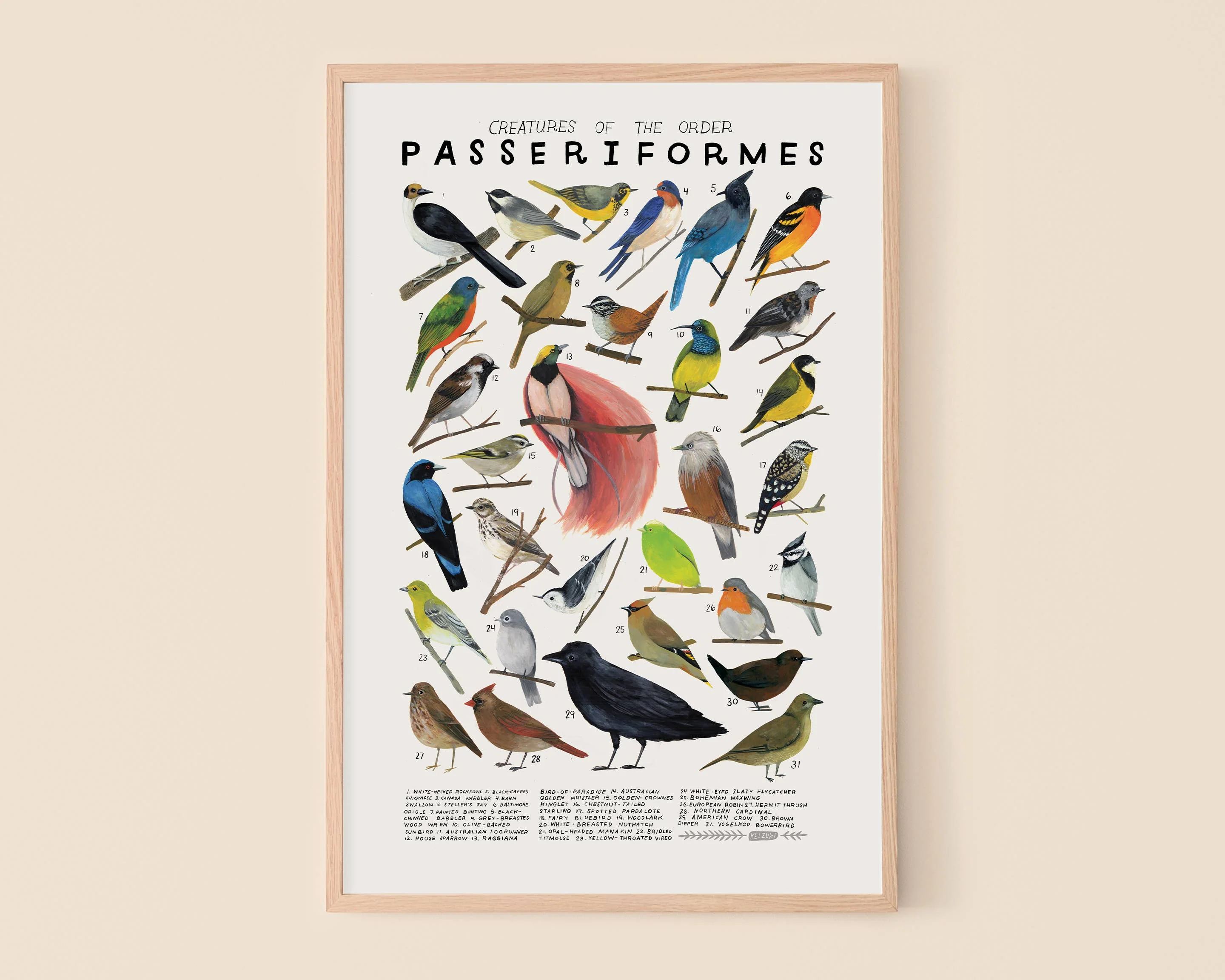 Passeriformes: Songbirds: 8 x 10 inches - Image 2