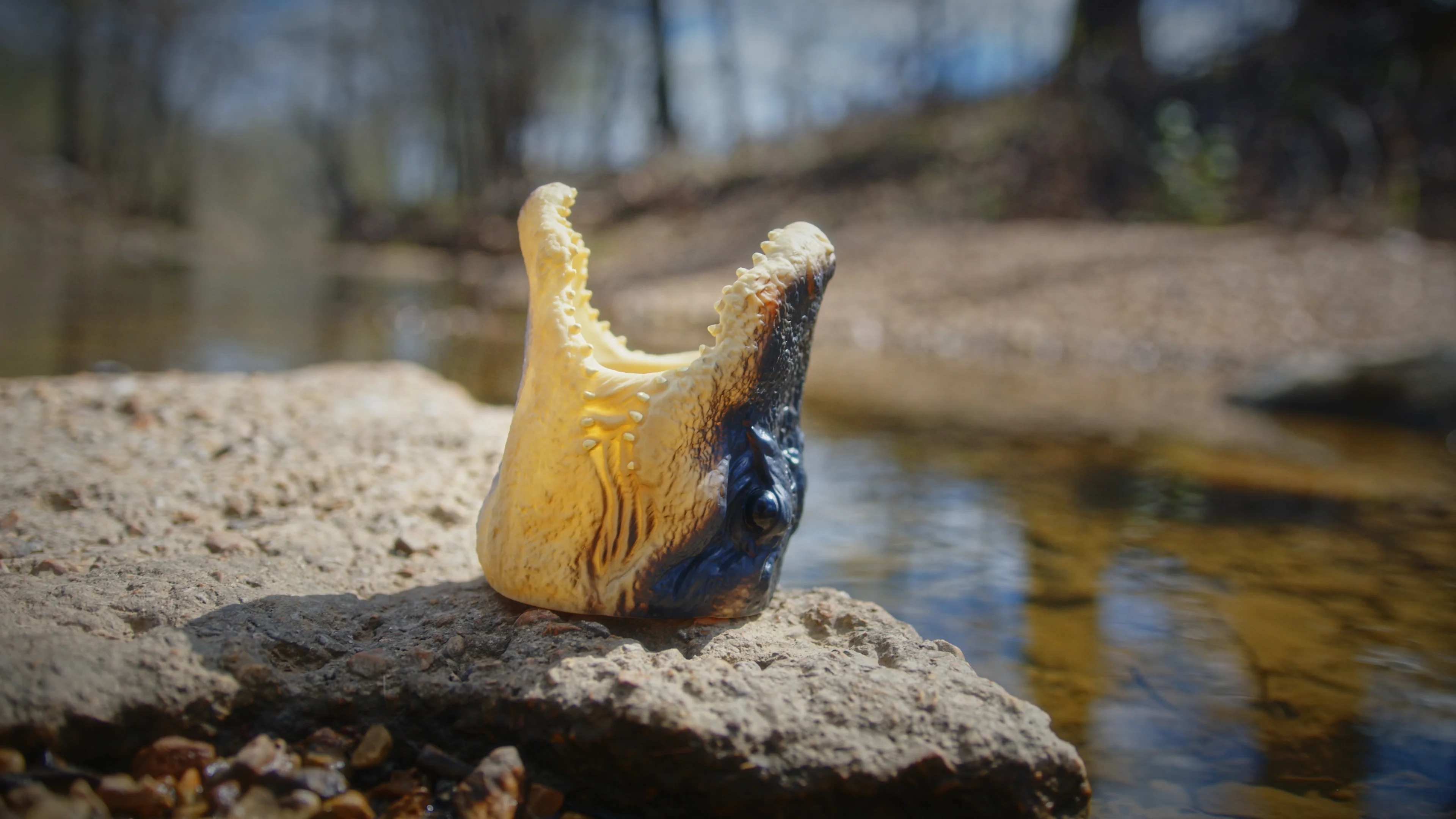 Can Cooler-Alligator - Image 1