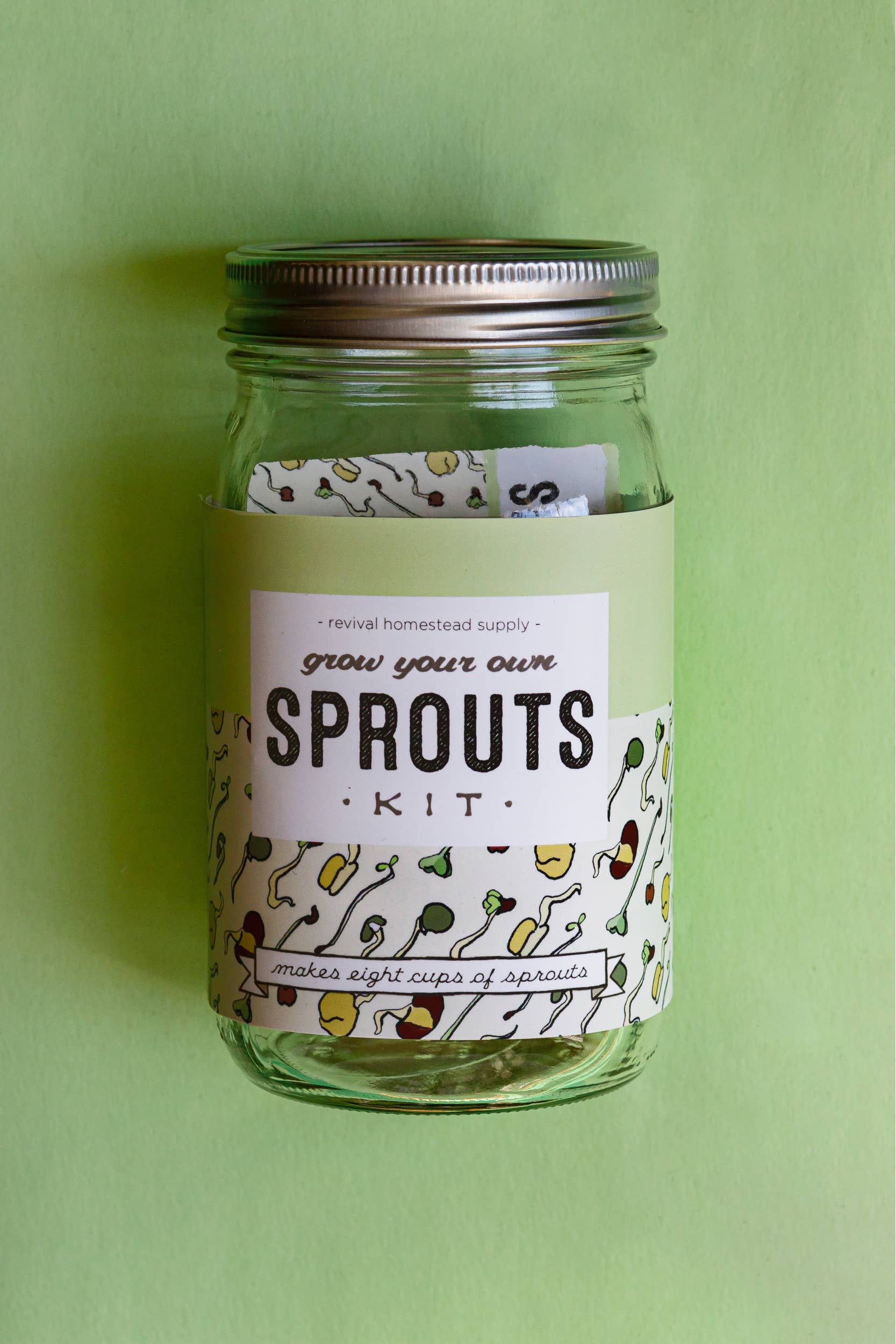 Sprout Kit, Grow Your Own, DIY - Image 1