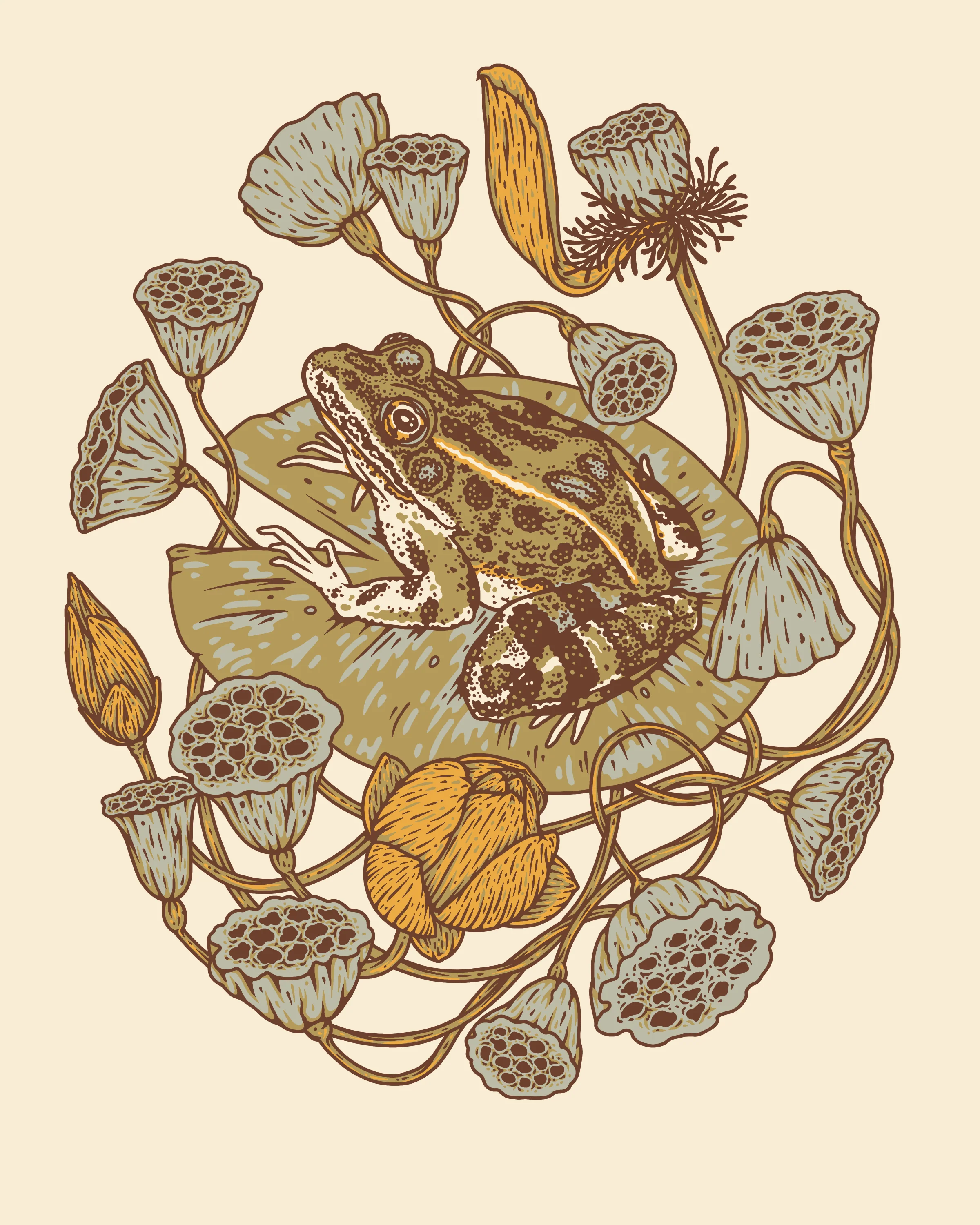 Frog, Lotus Pods, and Lotus Flowers 8x10" Giclee Print - Image 1